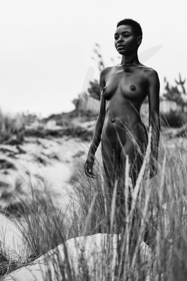 Portfolio Image